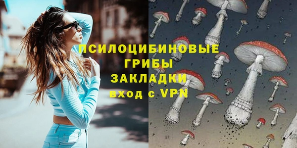 дживик Каменск-Шахтинский