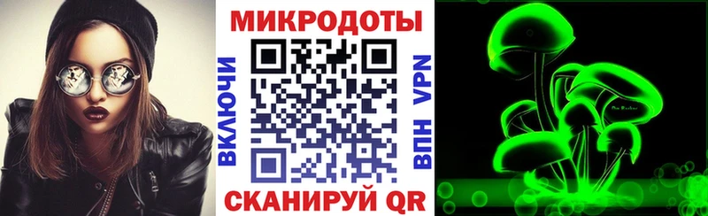 Галлюциногенные грибы Psilocybe  Алексин 